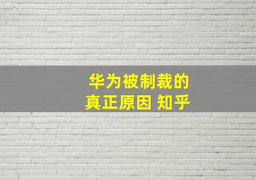 华为被制裁的真正原因 知乎